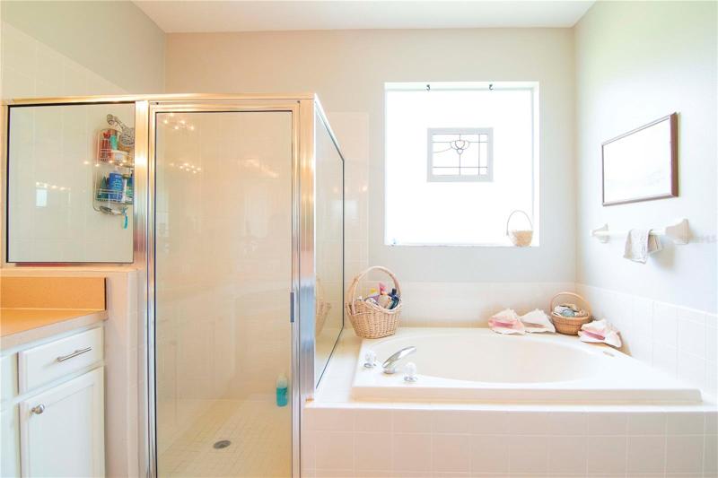 Master walk-in shower and tub