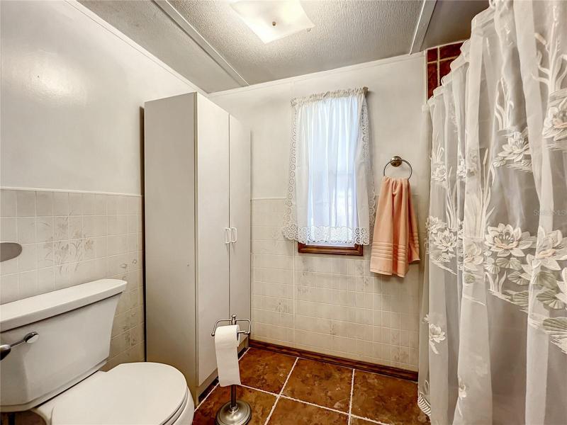 Toilet and walk-in shower