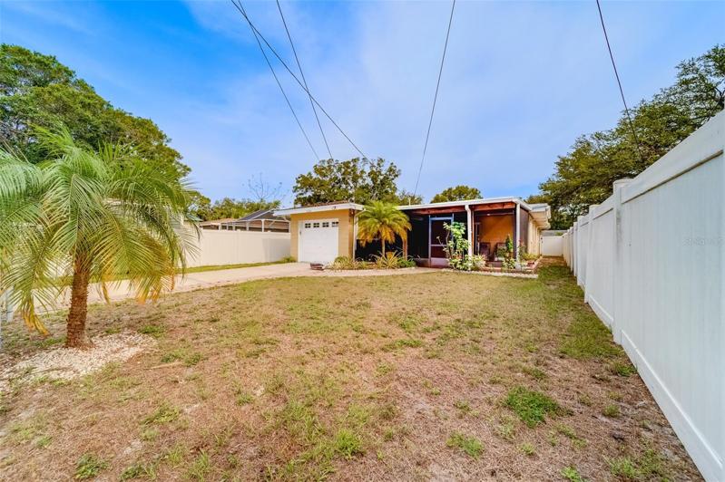 Back Yard