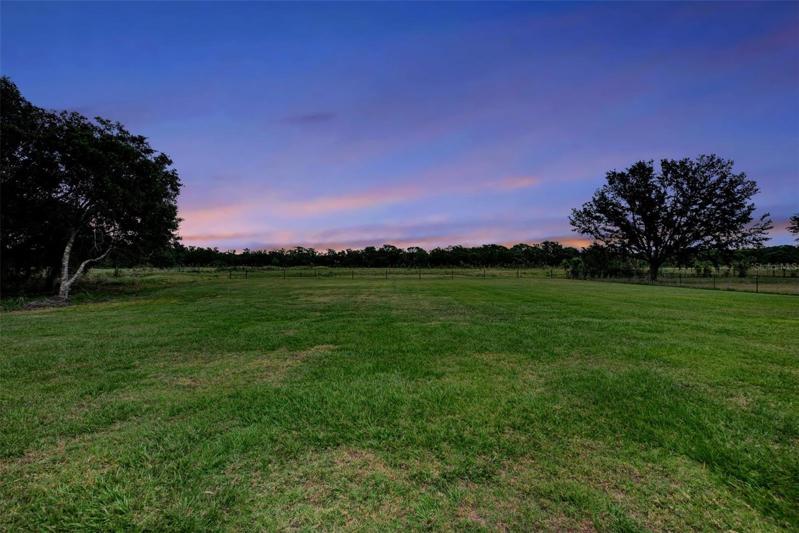 Evening Back Yard View