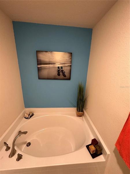 Master Bathtub