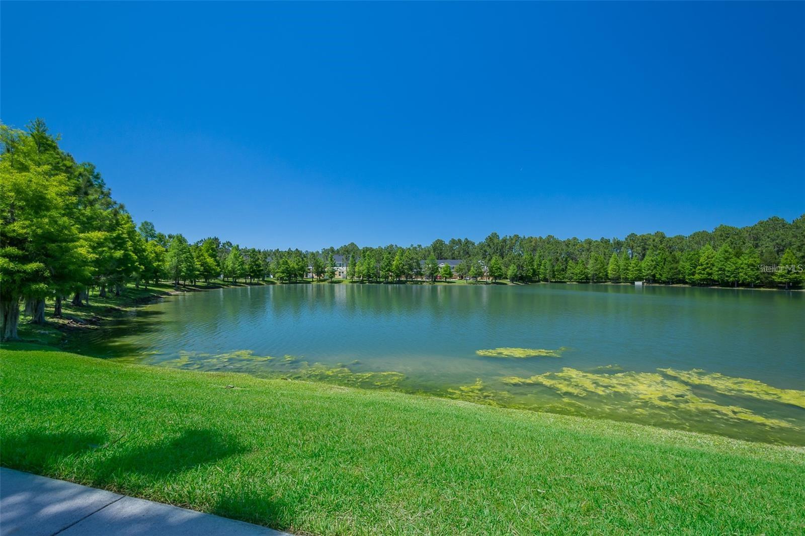Lake
