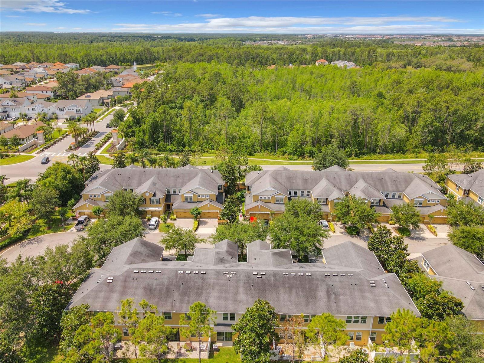 Community aereo view