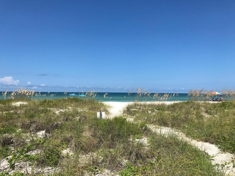 Beach view.