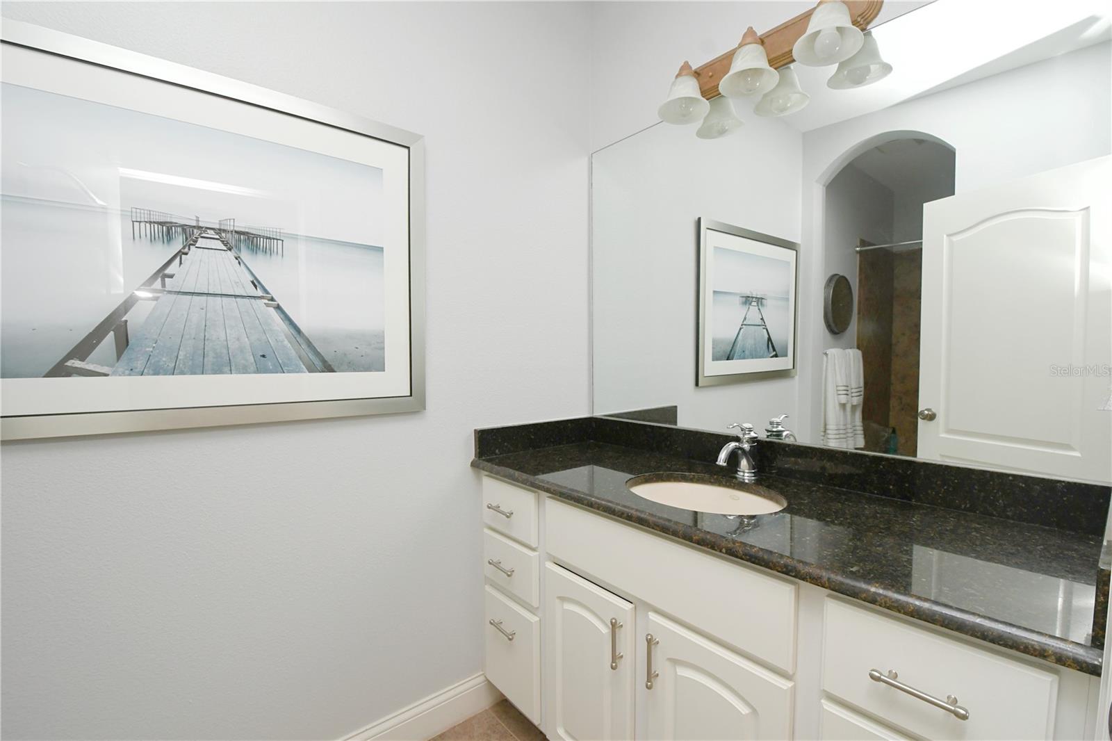 The upstairs bath features a mirrored vanity with storage and a granite countertop, and a downlight fixture.