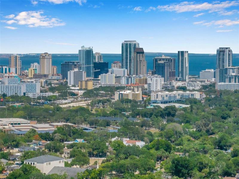 2 Miles from Downtown St Pete Restaurants, Amenities and Attractions
