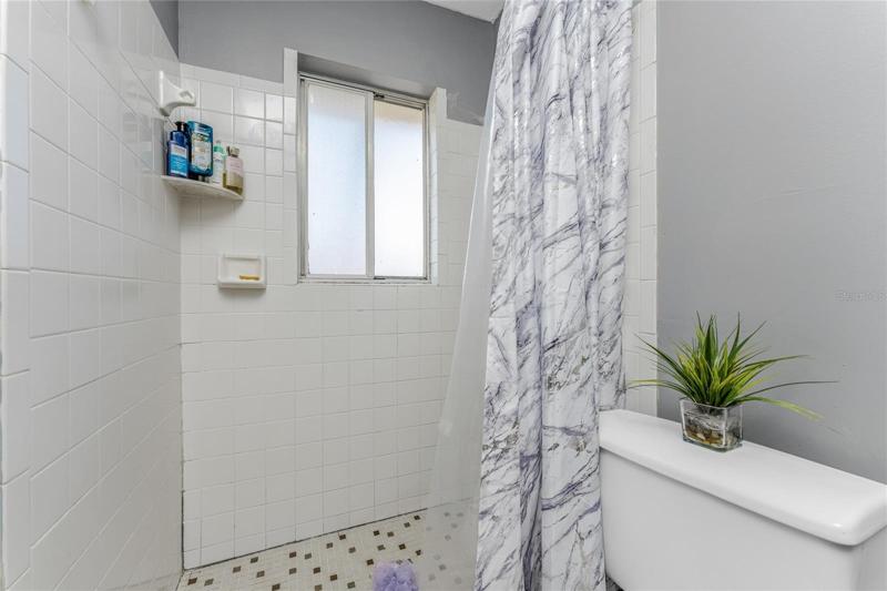 Step in shower