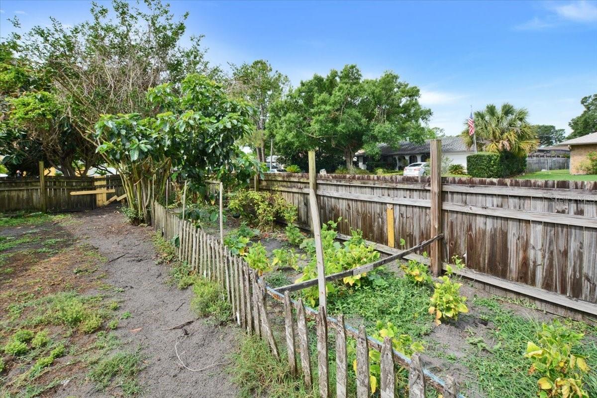 Garden