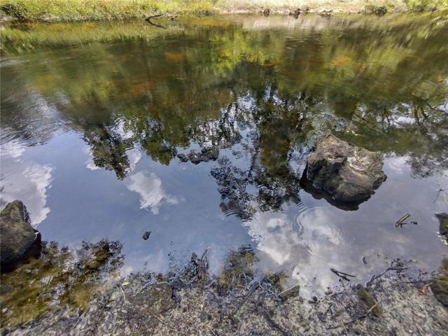 RIVER SIDE VIEW