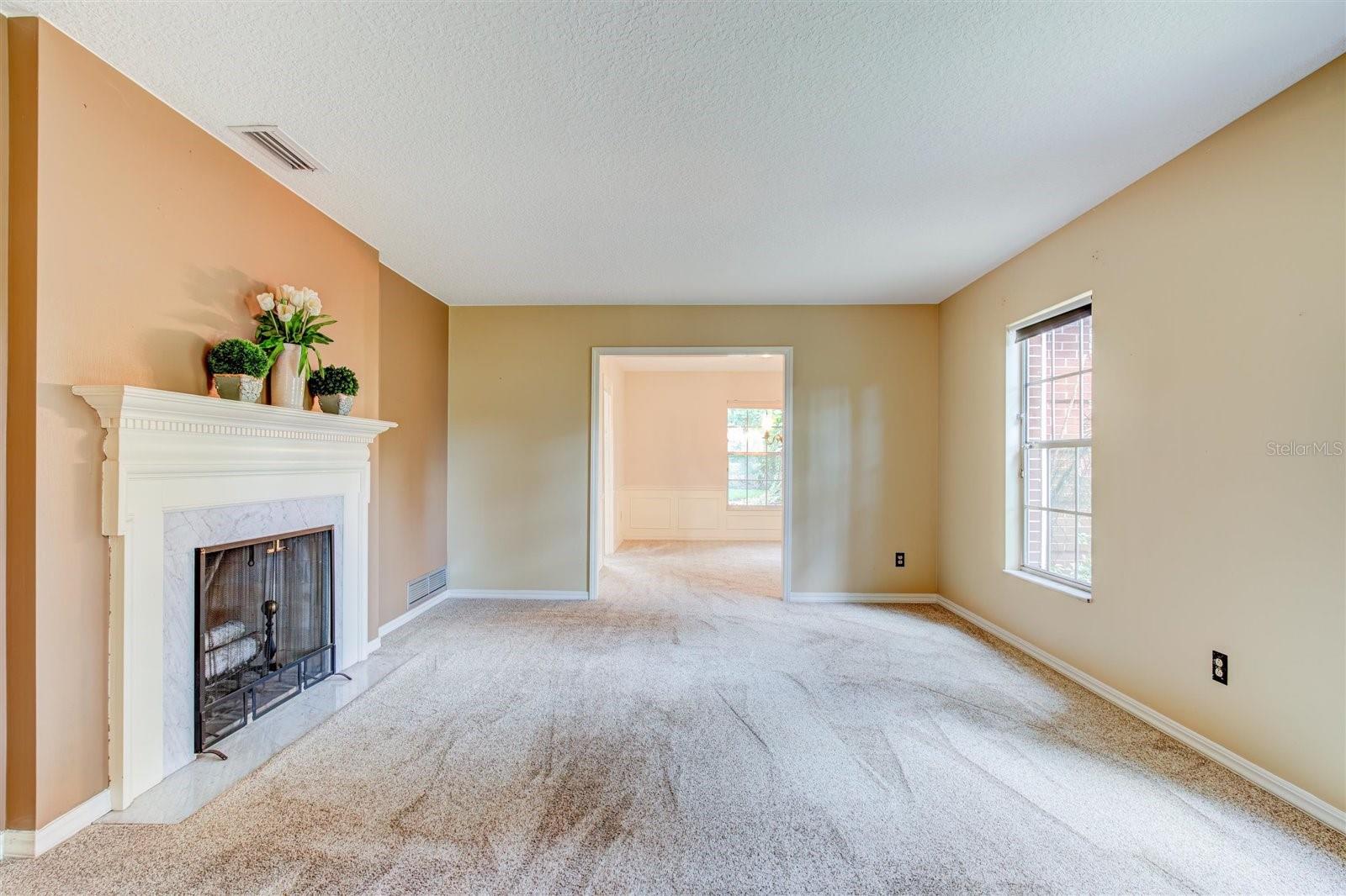 Living Room with Fireplace