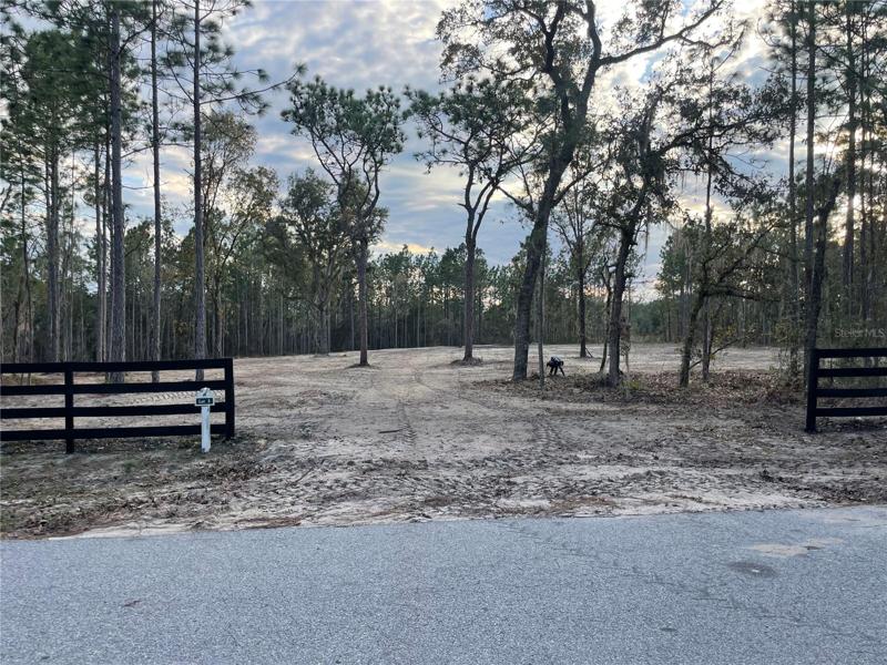 Exterior road view of lot on 3.91 ACRES!