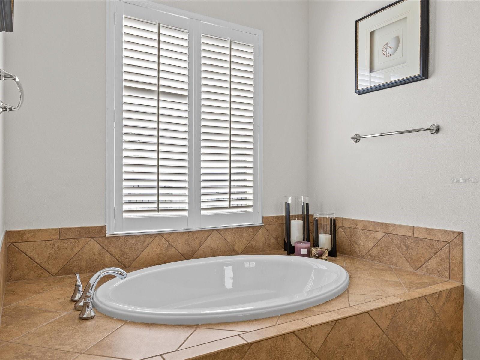 Master Bathroom tub