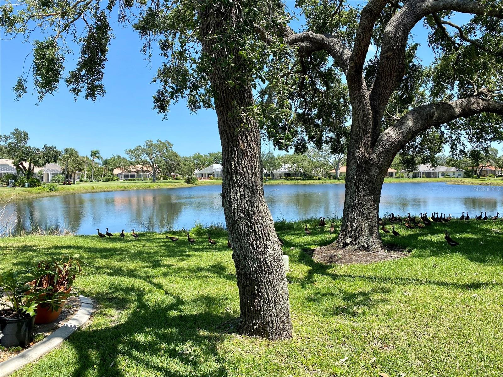 Hidden Lakes Club Venice, FL