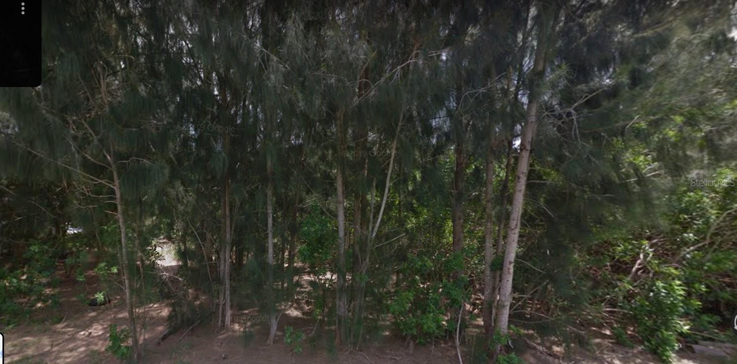 Punta Gorda, Florida 33950, 0 , 0 ,0,Land,For Sale,PLEASANT,0,T3443399