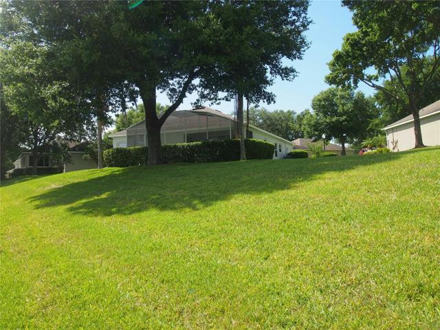 View from back yard