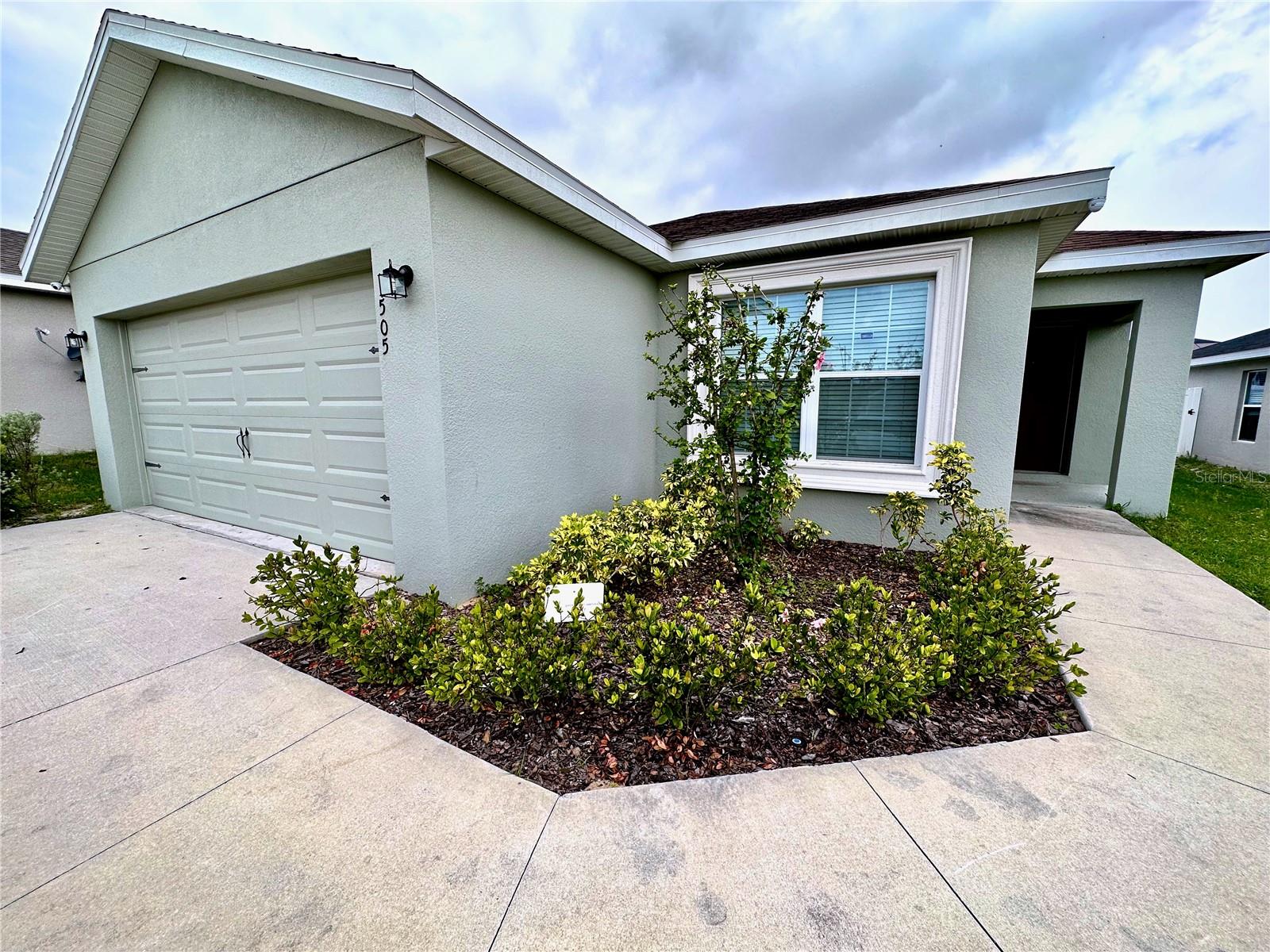 Front Shrubs