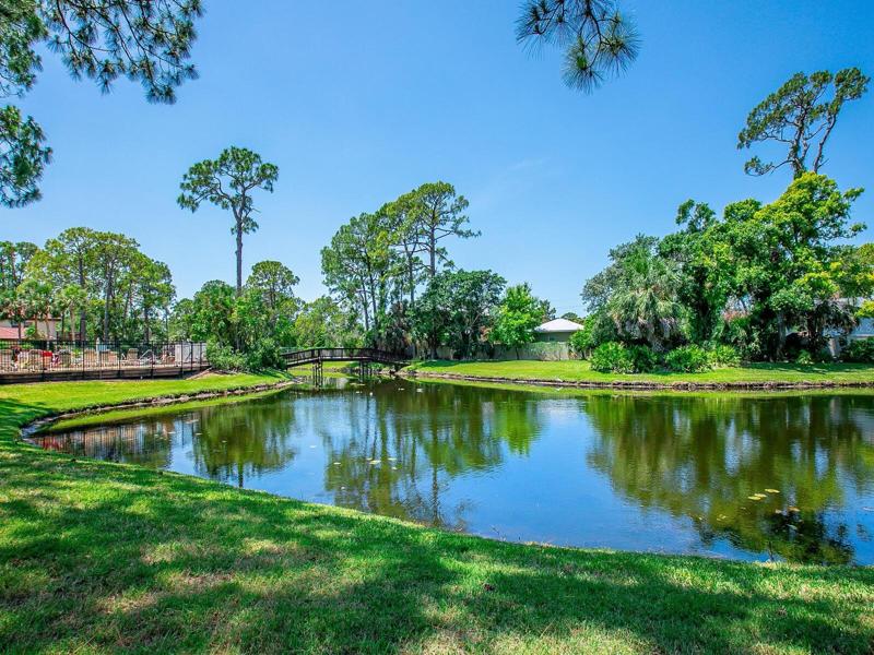 Ponds are great places for bird-watchers