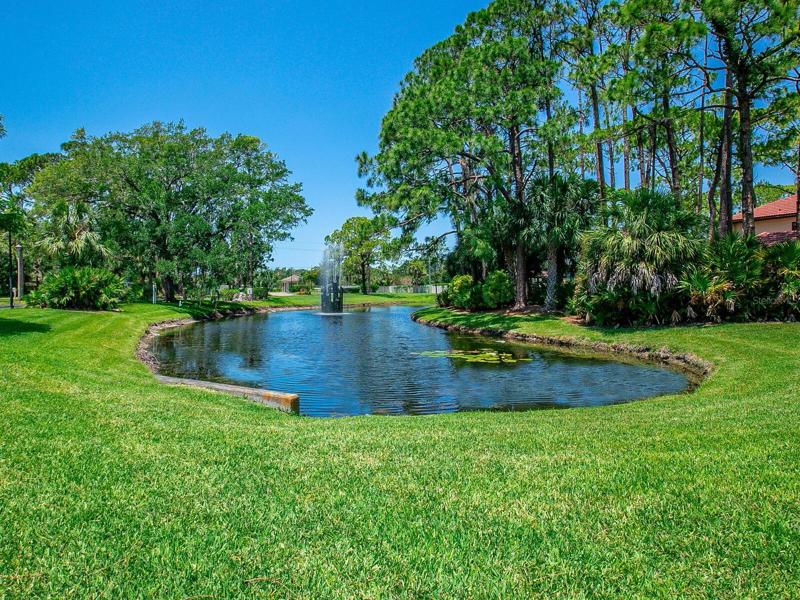 Water, lilies, birds, and the sound of splashing water from the fountain.  Ahhhh...