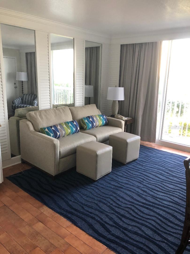 sleeper sofa oand comfy sitting area