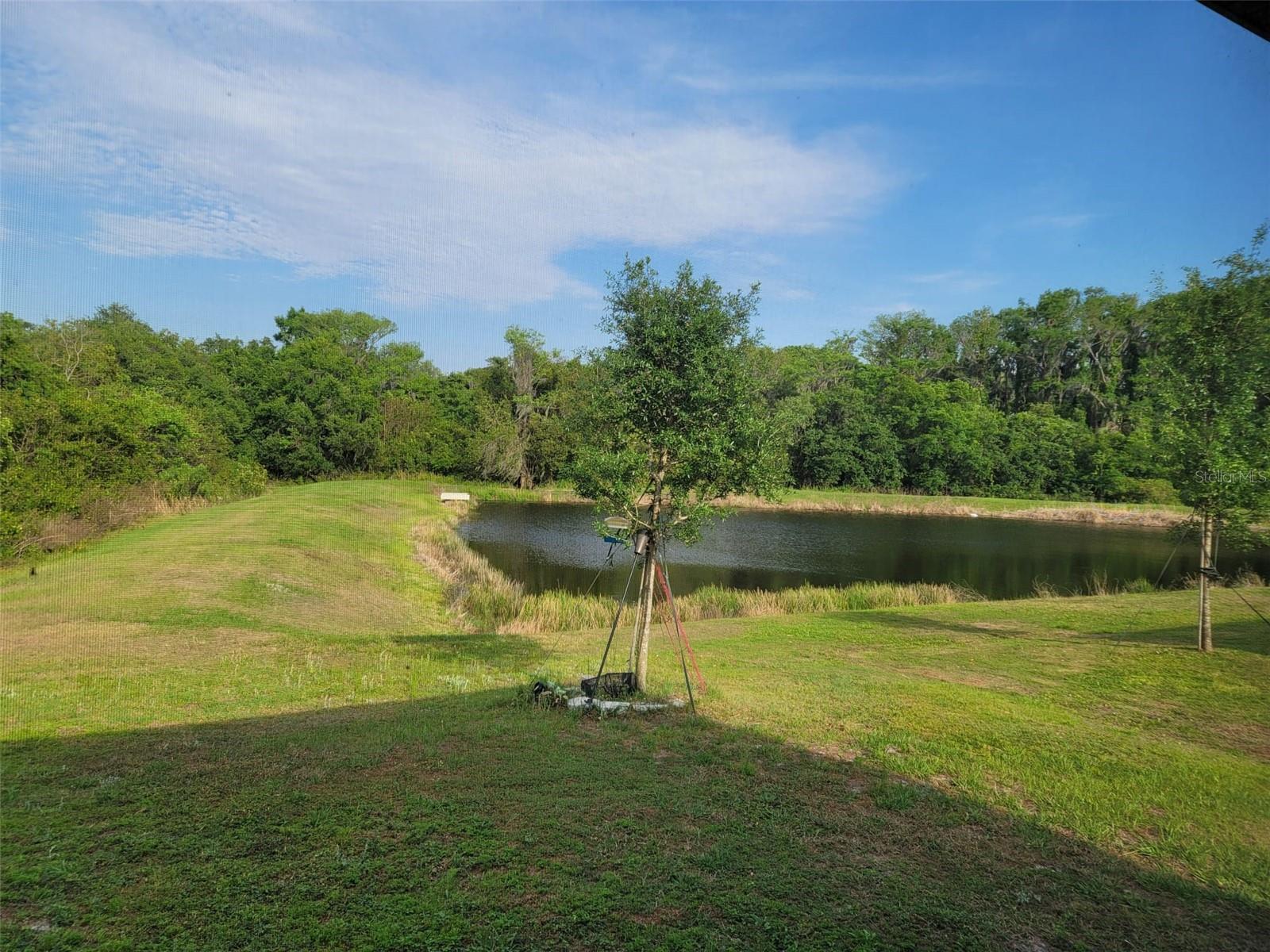 Pondview and conservation area