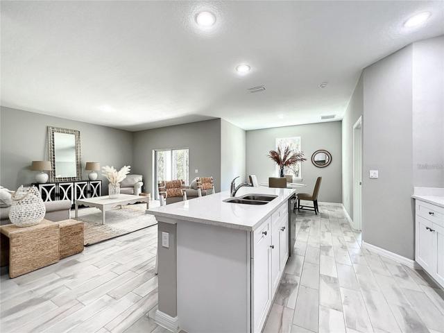 MODEL PIC- Kitchen