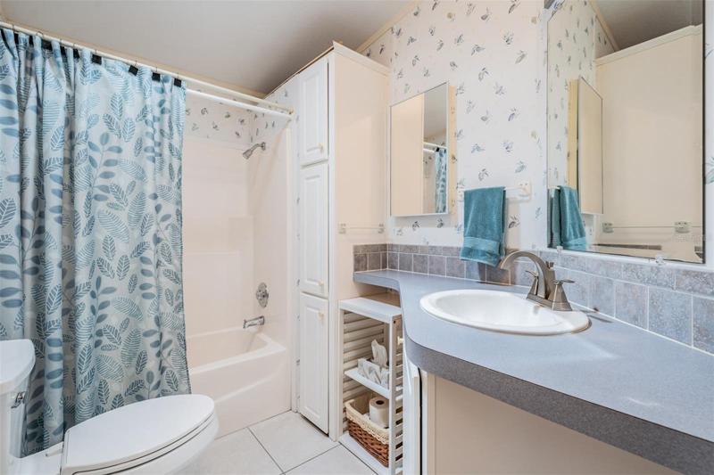 Guest bathroom