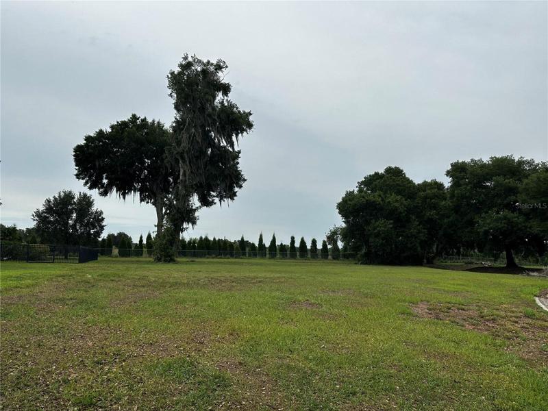 View of 10932 Flint Estates Dr Vacant Lot
