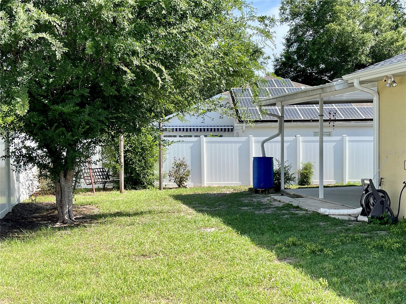Backyard