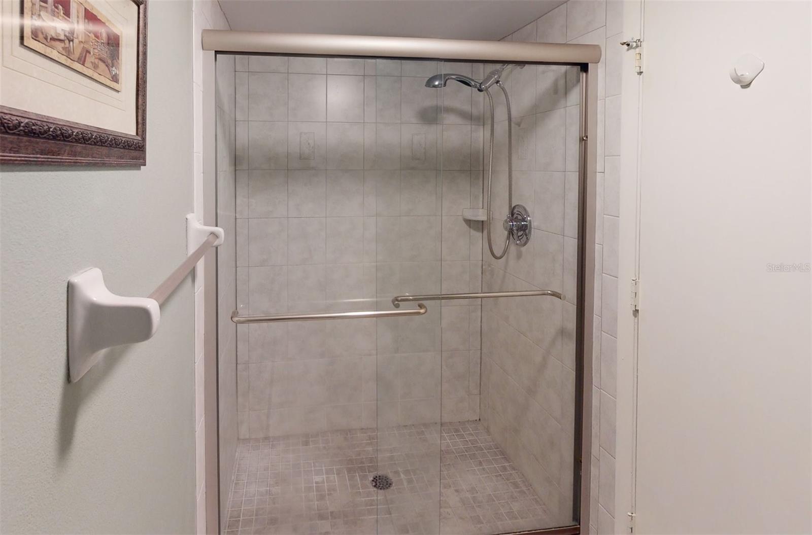 Master bath shower.