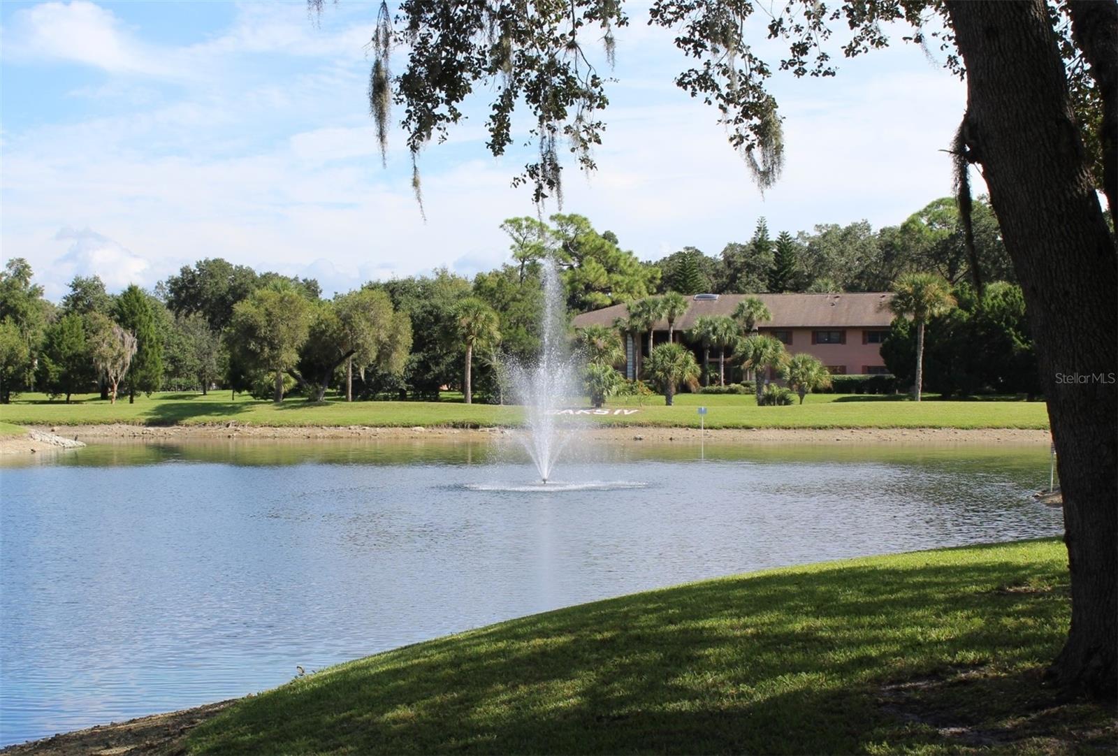 Fountain view on your way to your condo