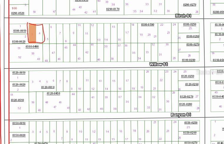 Interlachen, Florida 32148, 0 , 0 ,0,Land,For Sale,BIRCH,0,OM657575