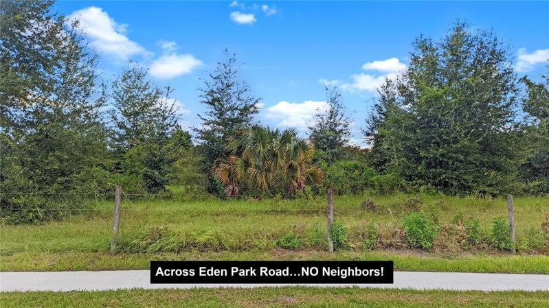 View from your Front Door across the Street of Eden Park!
