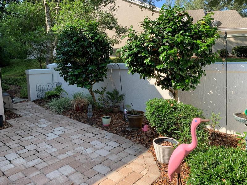 Courtyard Garden
