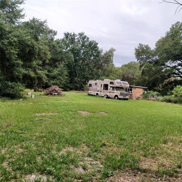 Backyard1