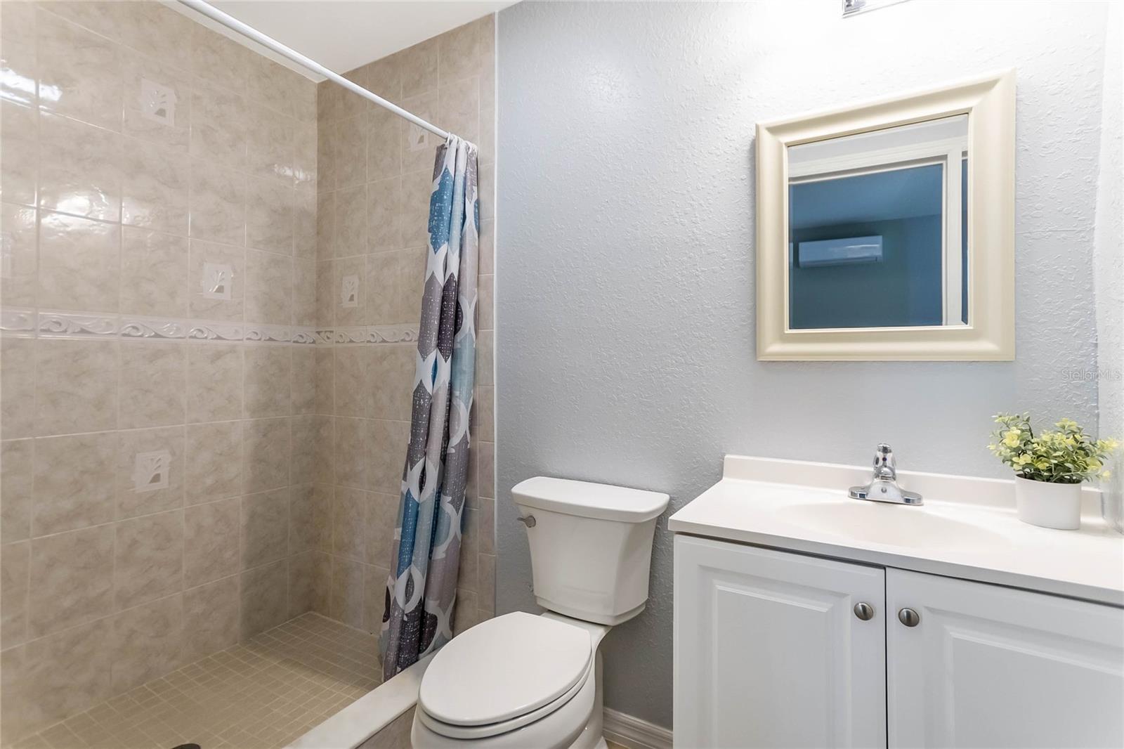 Lower Level Bathroom