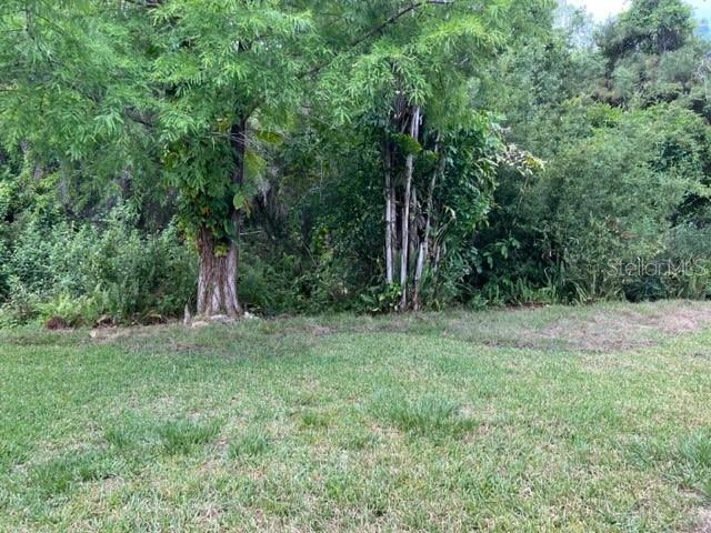 Backyard. NO rear neighbors