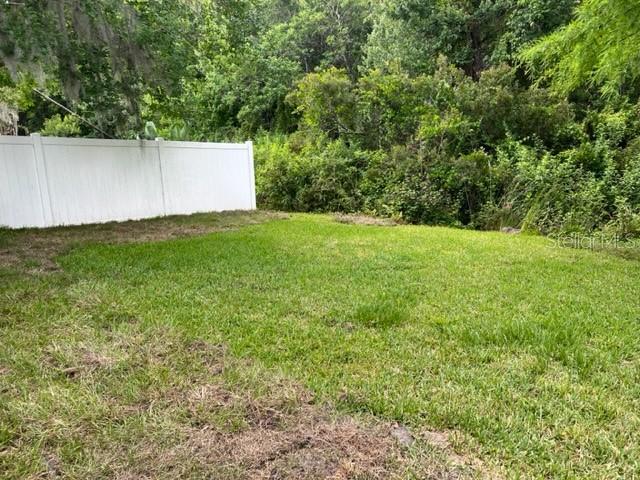 Backyard / Conservation Area