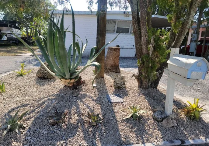 Front yard