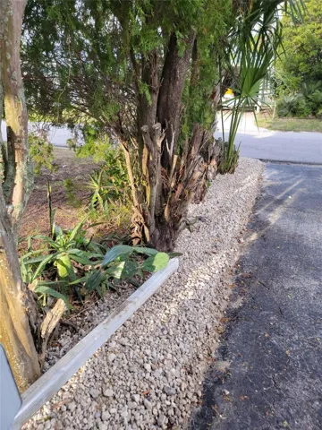 Next to the carport area looking toward the street.