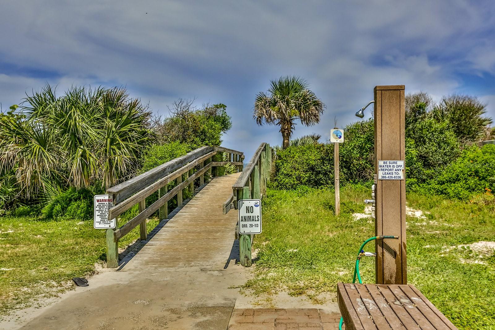 Boardwalk along estaury