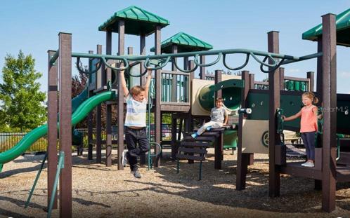 Fun at the playground.