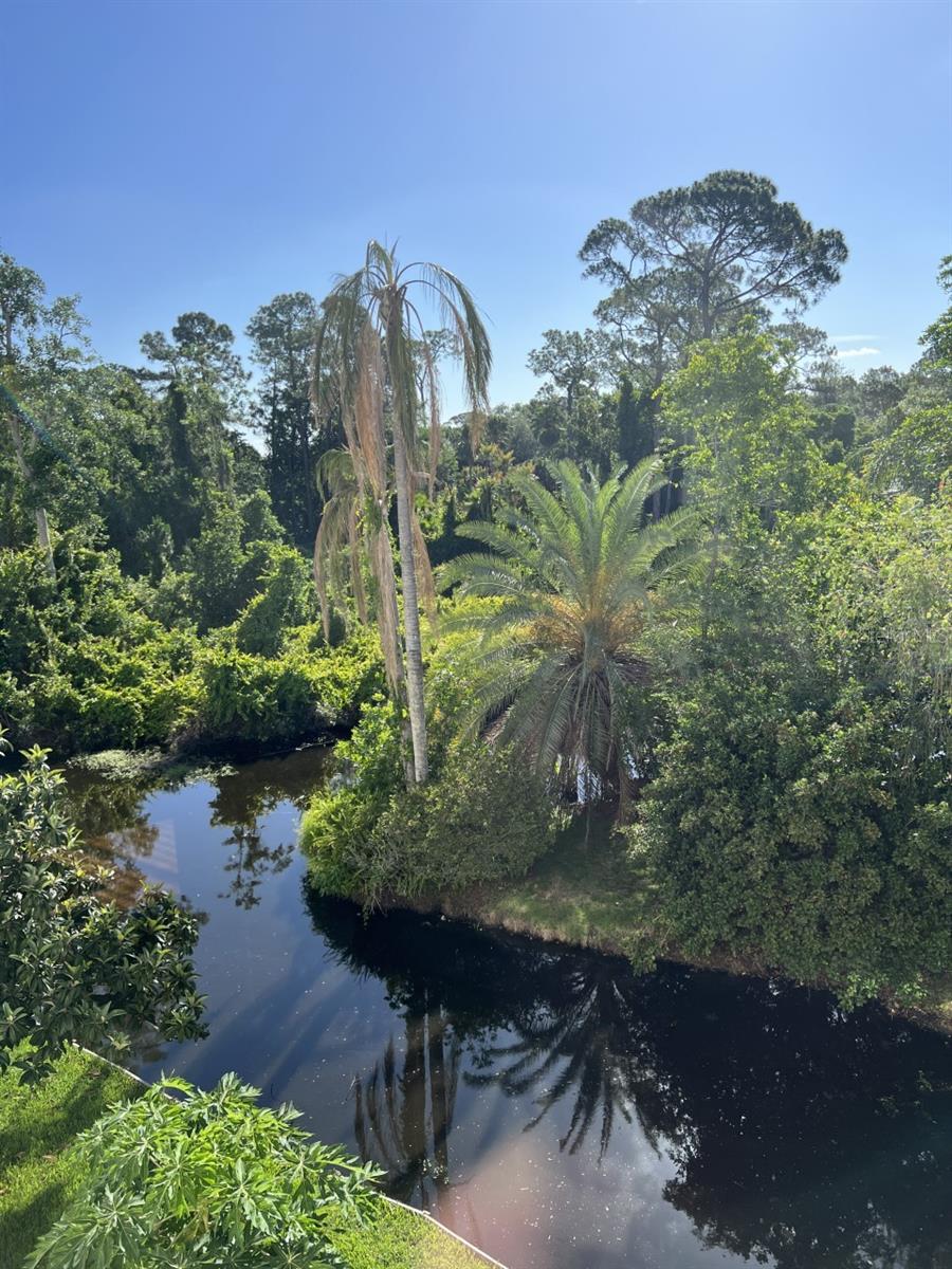 Lagoon view from the bonus room window.