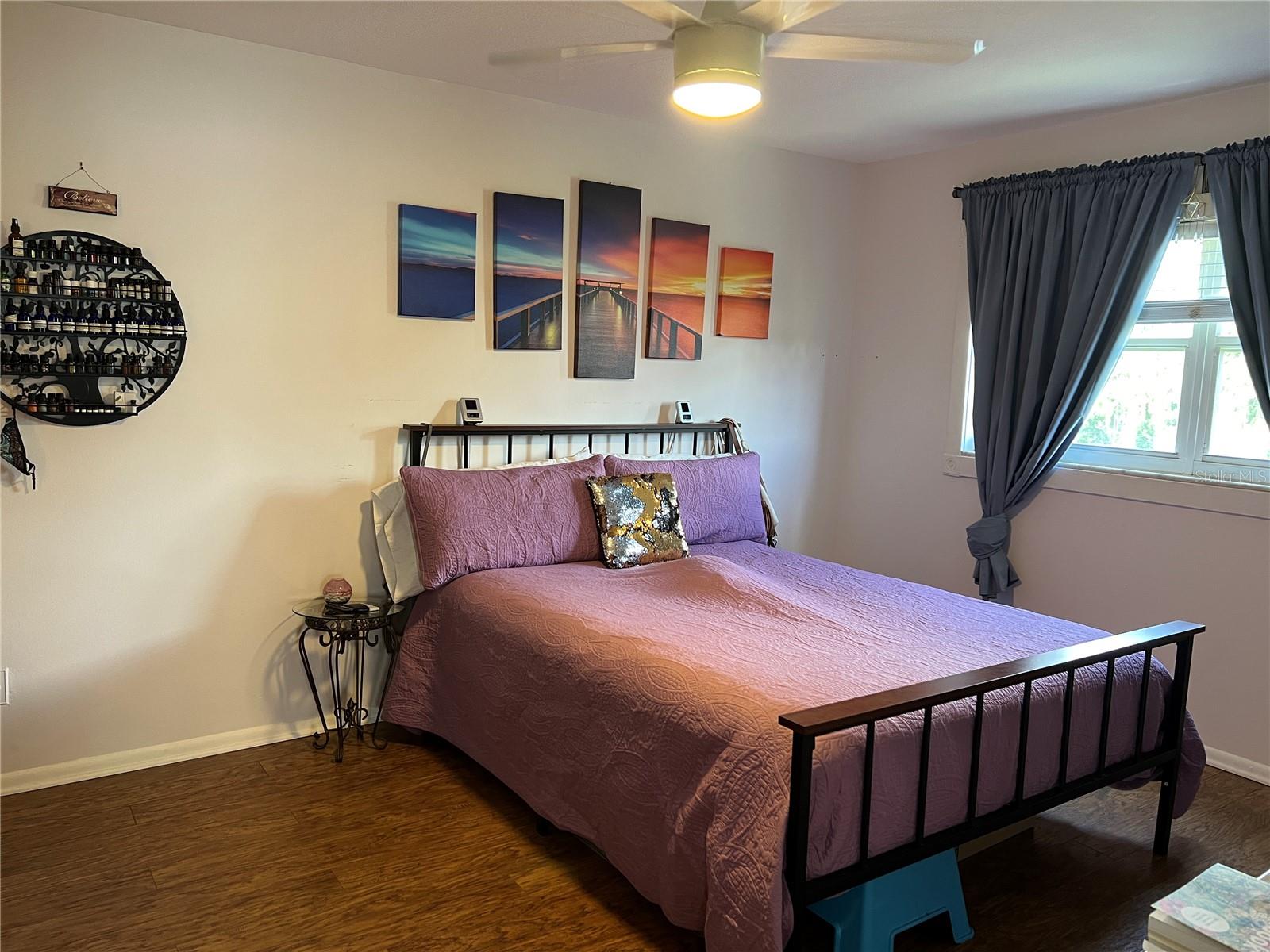Master bedroom as you enter.  Lagoon views from the window are beautiful.  Lump in bed is the family cat.
