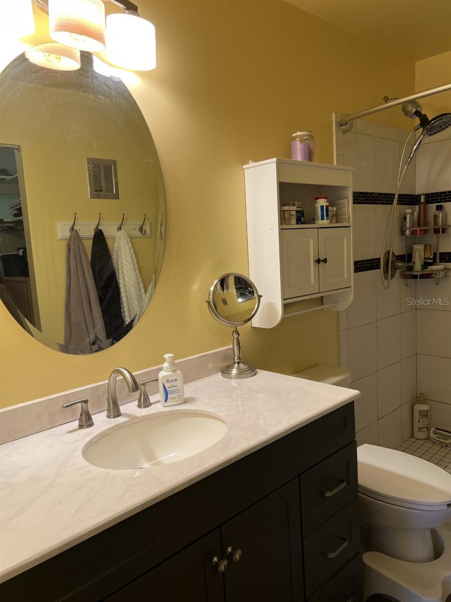 Closer view of master vanity.