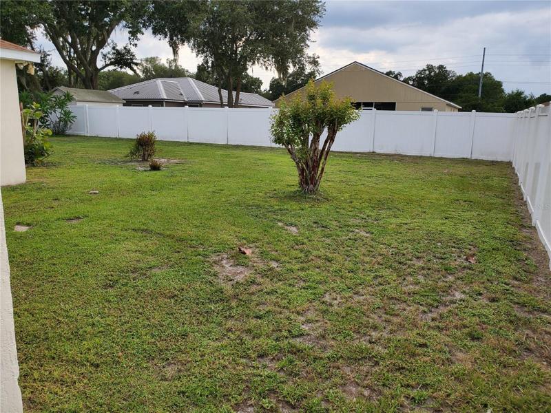 Backyard