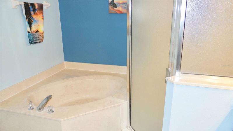Double sinks in master bathroom