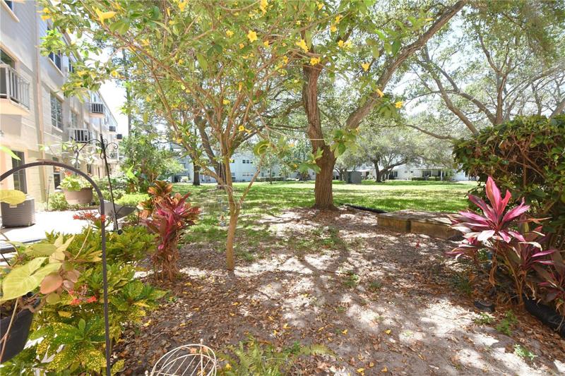 The view of the back yard.