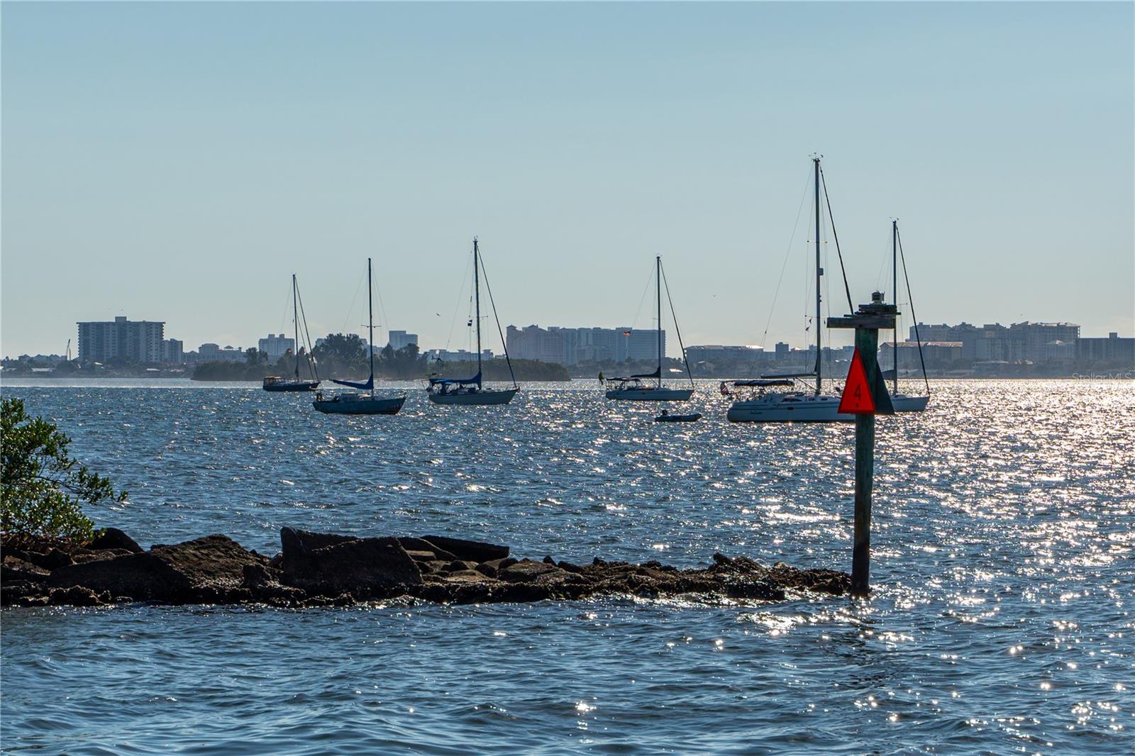 DUNEDIN WATER FRONT