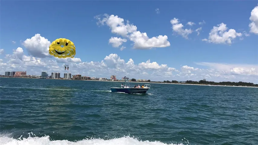 Dolphin tours