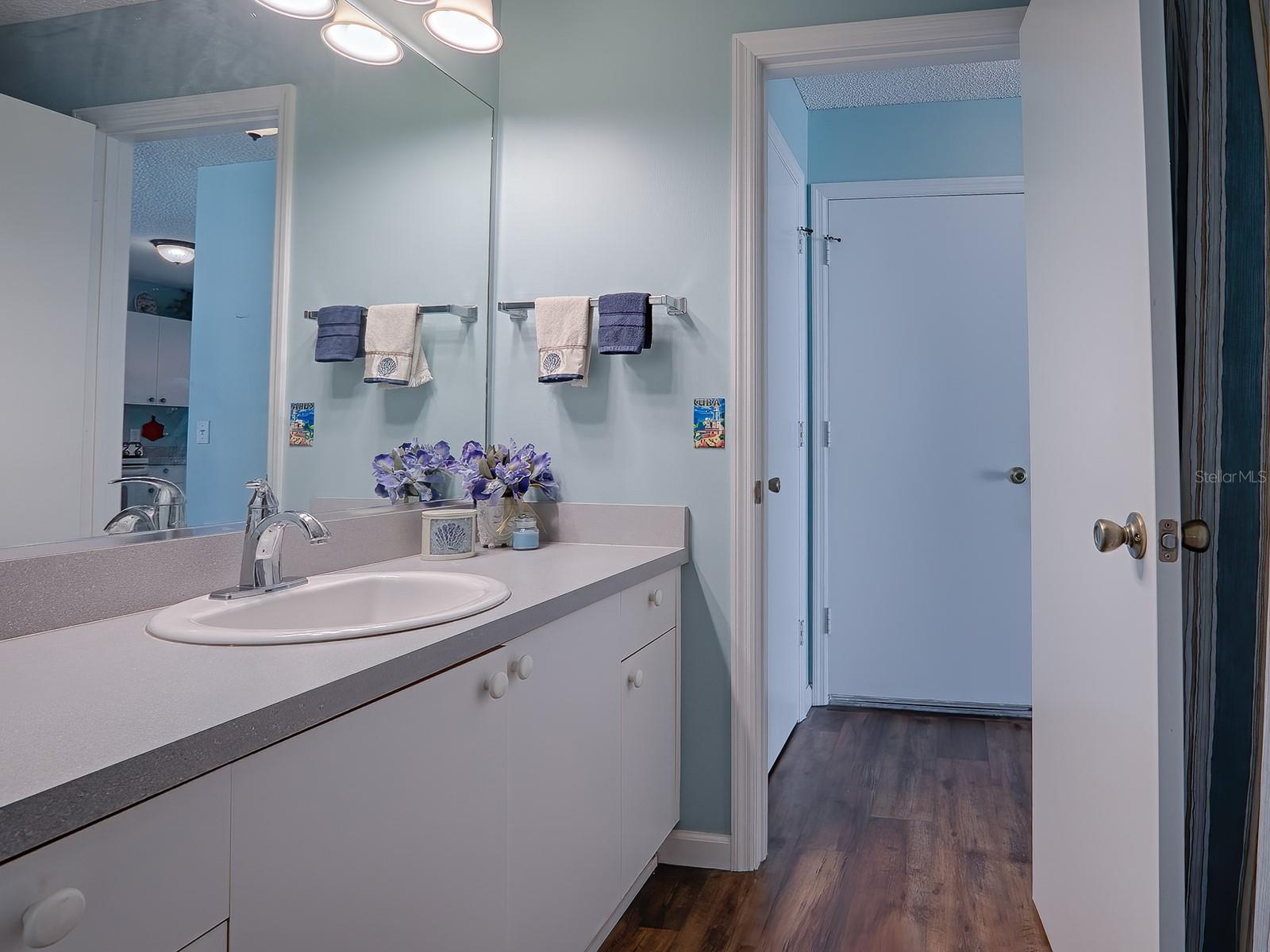 ANOTHER DOOR FOR GUEST ENTRANCE TO THE BATH